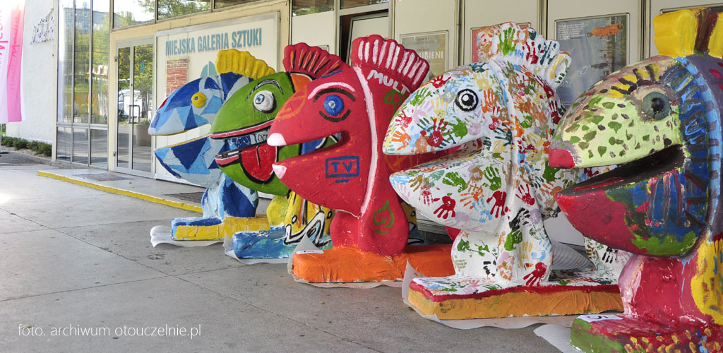 studia w częstochowie rekreacja